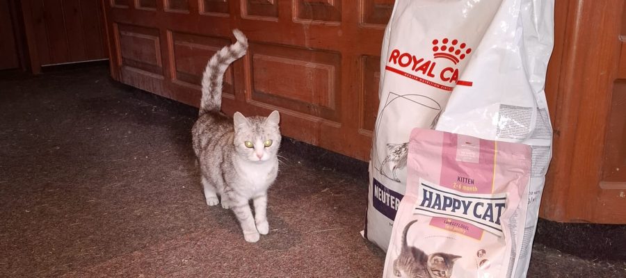 462206324_951649120324221_8250888918720690260_n