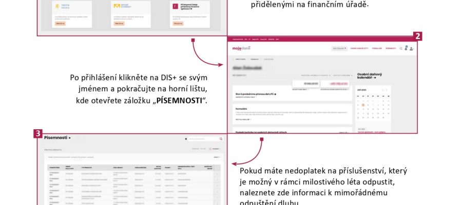 Jak_zjistit_zda muzete_vyuzit_danove_milostive_leto_page-0001