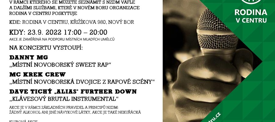 KONCERT VAFLE - NZDM 2022