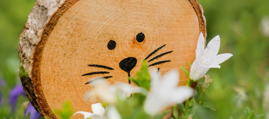 easter-bunny-7697313_1920